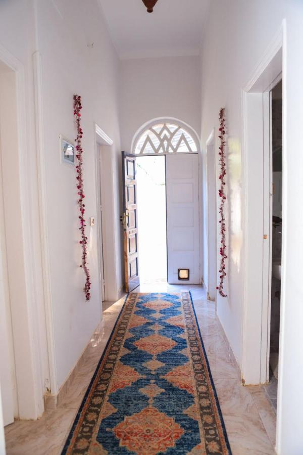 Luxor Oasis Guest House Екстер'єр фото