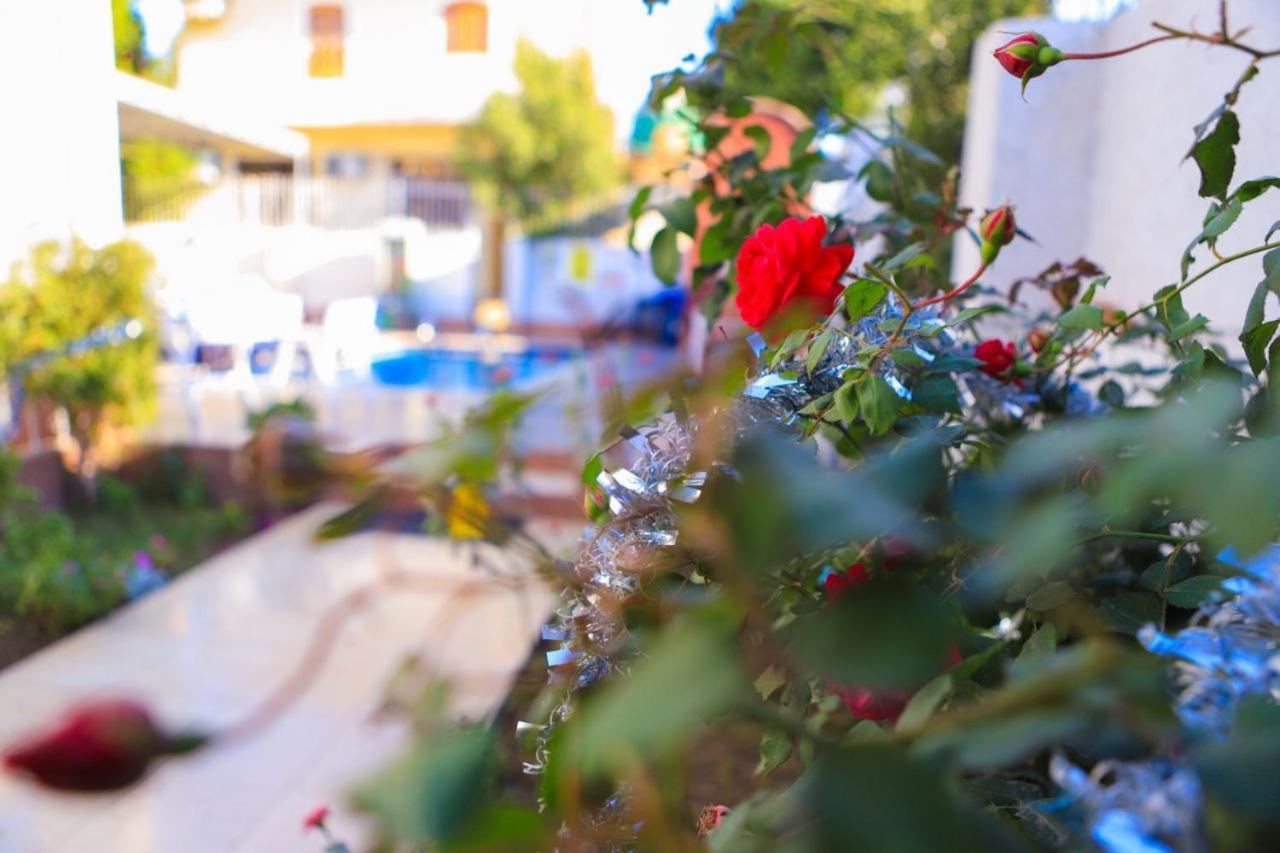 Luxor Oasis Guest House Екстер'єр фото