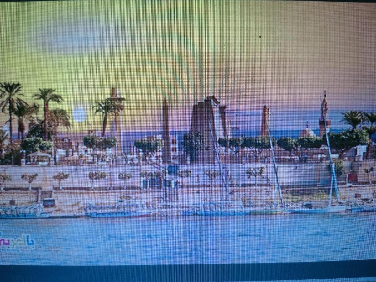 Luxor Oasis Guest House Екстер'єр фото