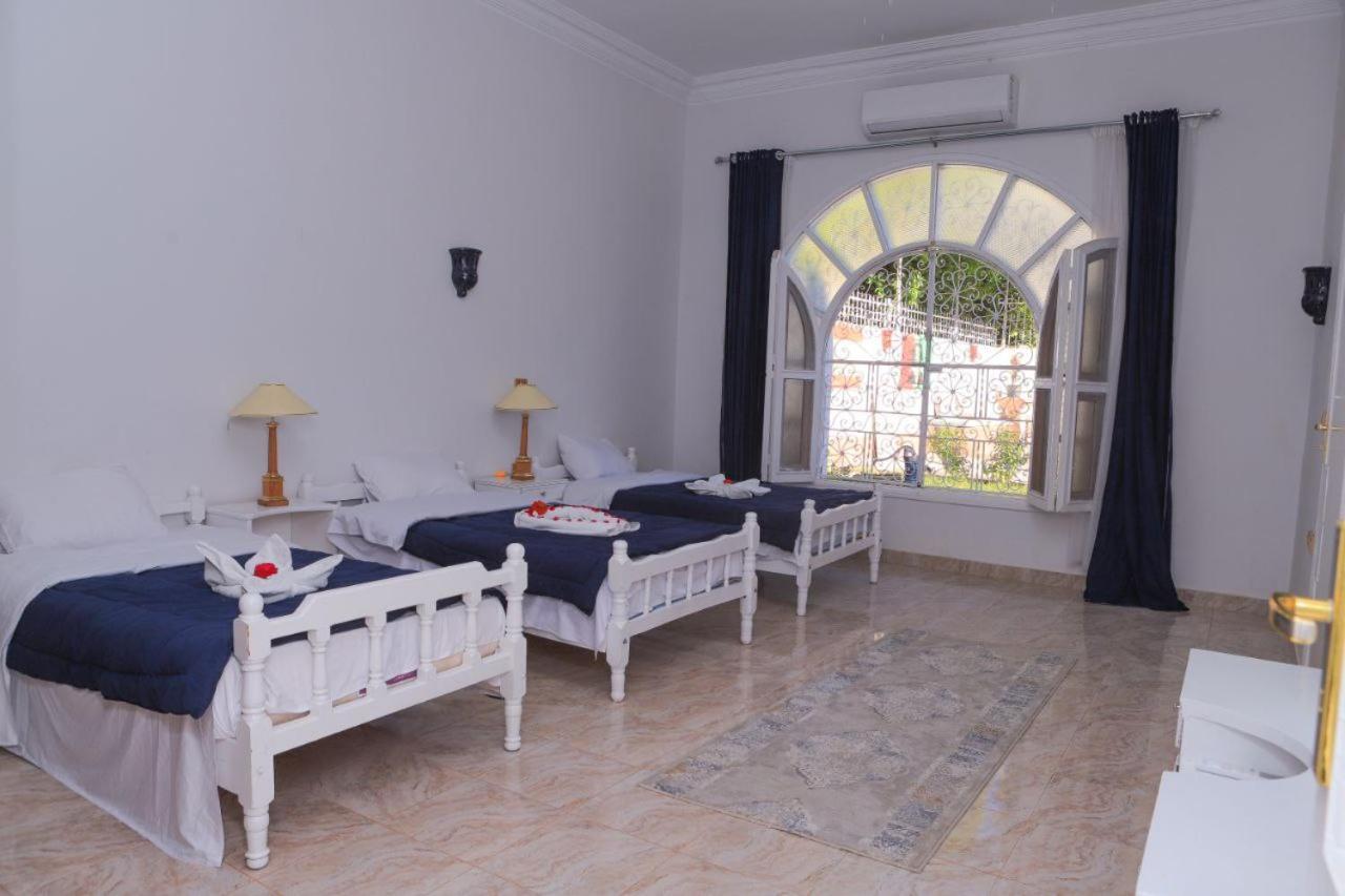 Luxor Oasis Guest House Екстер'єр фото